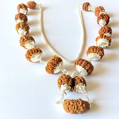 1 - 14 Mukhi Rudraksha Mala ( In Thread)