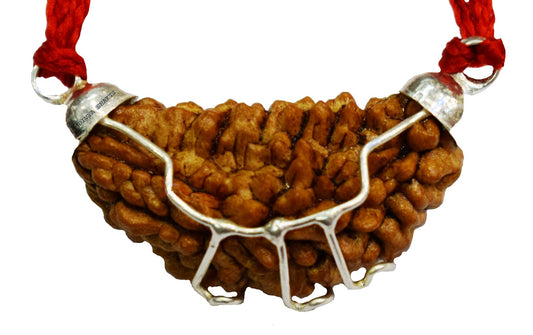 1 MUKHI RUDRAKSHA CERTIFIED