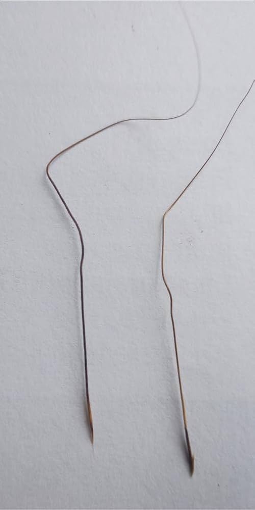 🕉️ Man Mohini Tilak – आकर्षण और सकारात्मक ऊर्जा का प्रतीक