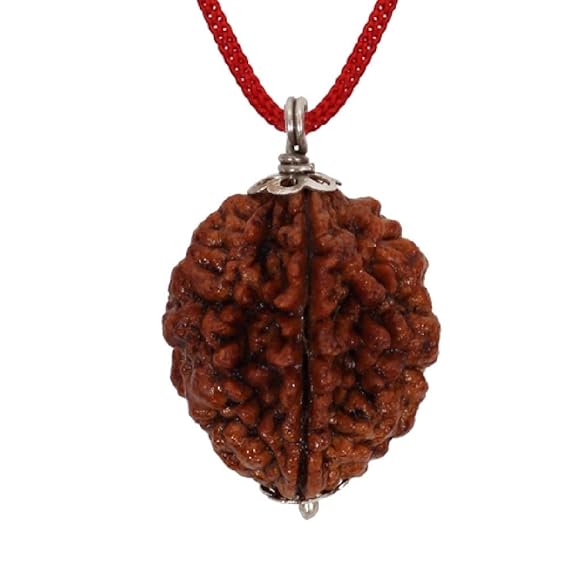 2 MUKHI RUDRAKSHA