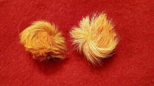 सियार सिंघी और बिल्ली की जीर कॉम्बो – धन, सुरक्षा और सौभाग्य का दुर्लभ शक्ति संयोजन/Siyar Singhi and Cat's Jeer Combo – Rare Power Combination of Wealth, Protection and Good Luck