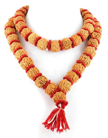 5 Mukhi Rudraksha Mala for Men/Women Wearing (15mm, Big Size Rudraksh Beads