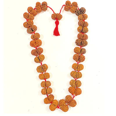 Gaurishankar Rudraksha Kantha (Nepal Origin)