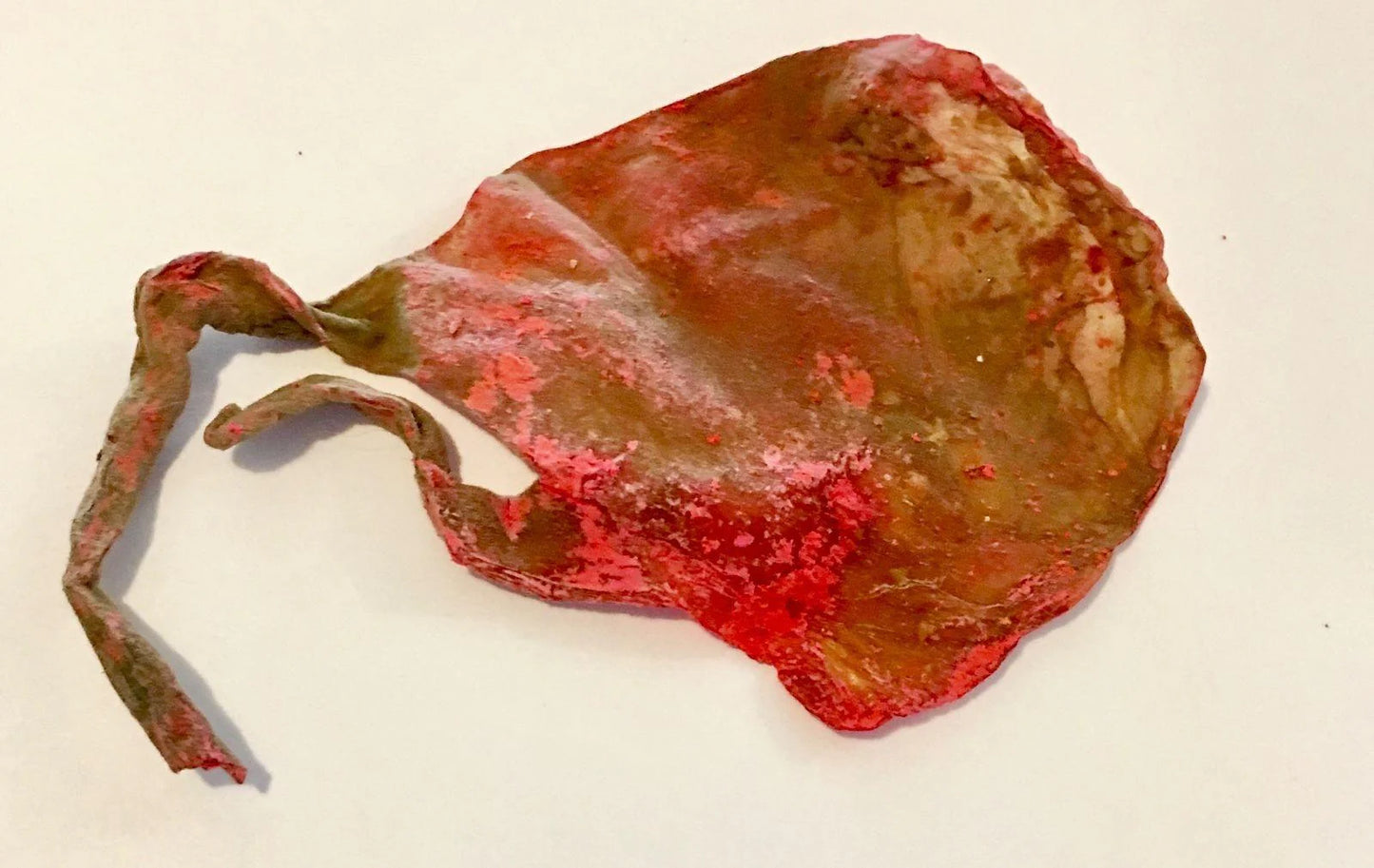 सियार सिंघी और बिल्ली की जीर कॉम्बो – धन, सुरक्षा और सौभाग्य का दुर्लभ शक्ति संयोजन/Siyar Singhi and Cat's Jeer Combo – Rare Power Combination of Wealth, Protection and Good Luck