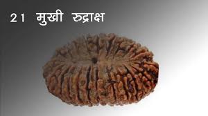 Original 21 Mukhi Nepali Rudraksha Bead | Kuber Rudraksha for Wealth & Divine Protection