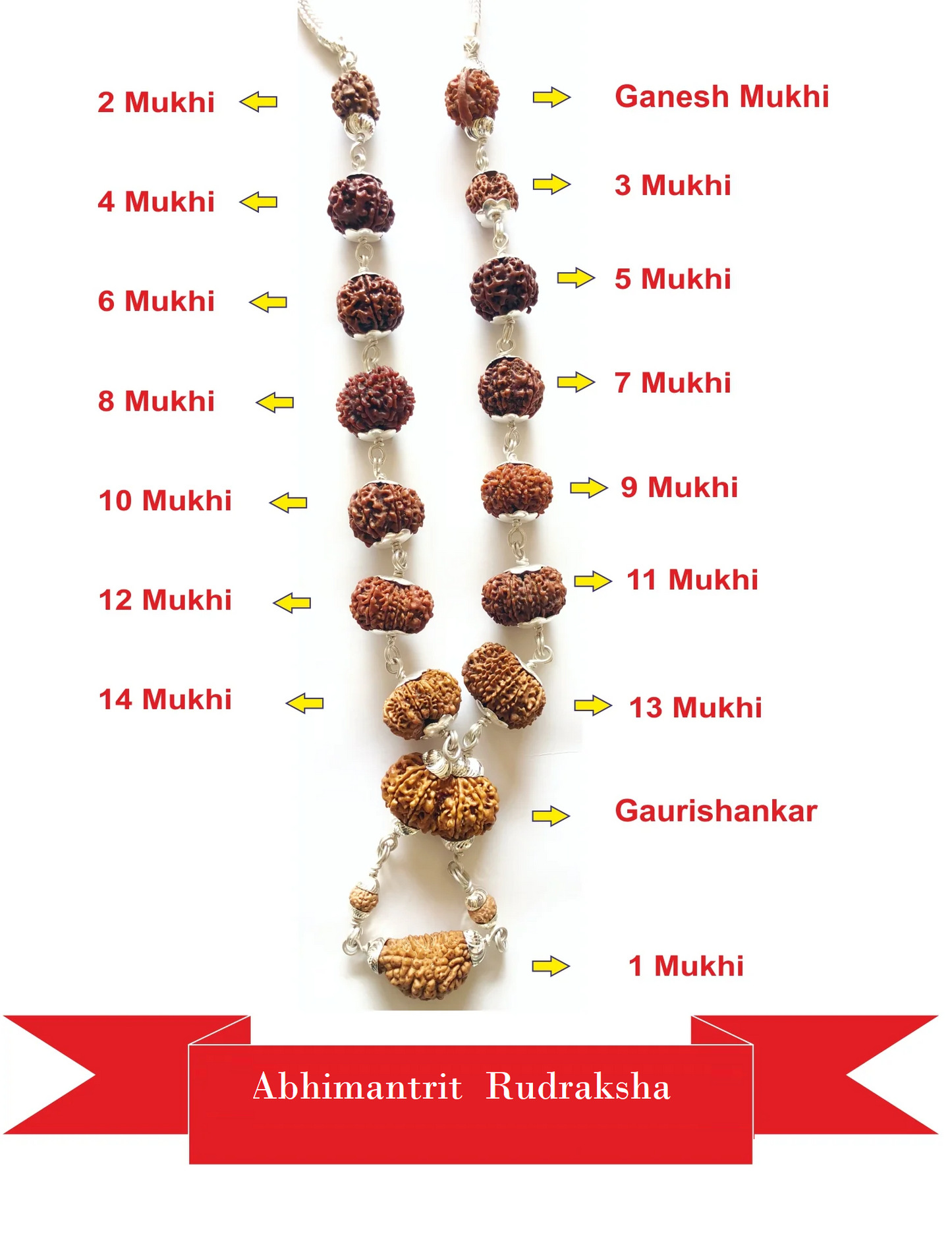 1 - 14 Mukhi Rudraksha Mala (Nepal Origin- Collector Beads)