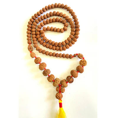 Indonesian 1 - 14 Mukhi Rudraksha Mala