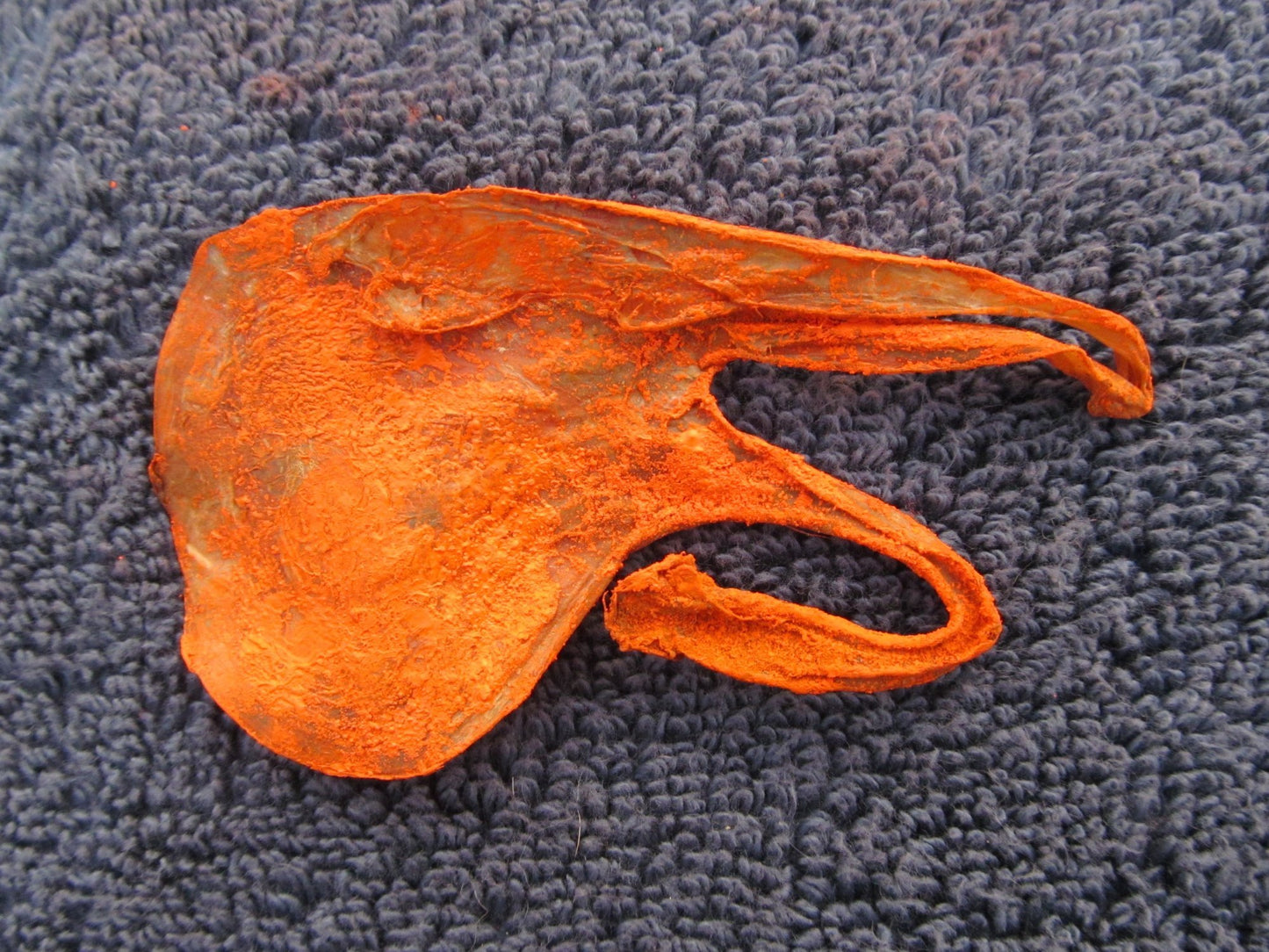 शक्तिशाली हठ जड़ी और बिल्ली की जीर कॉम्बो – धन, वशीकरण और सुरक्षा हेतु/Powerful Hatha Jadi and Cat's Cumin Combo – For Wealth, Spells and Protection