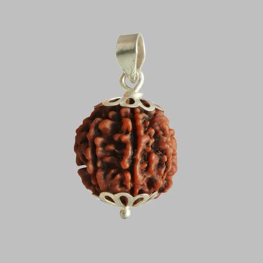 7 MUKHI CERTIFIED RUDRAKSH NEPAL Pendent in Silver
